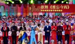 春晚人员爆料视频大全下载,幕后花絮揭秘，精彩瞬间回顾